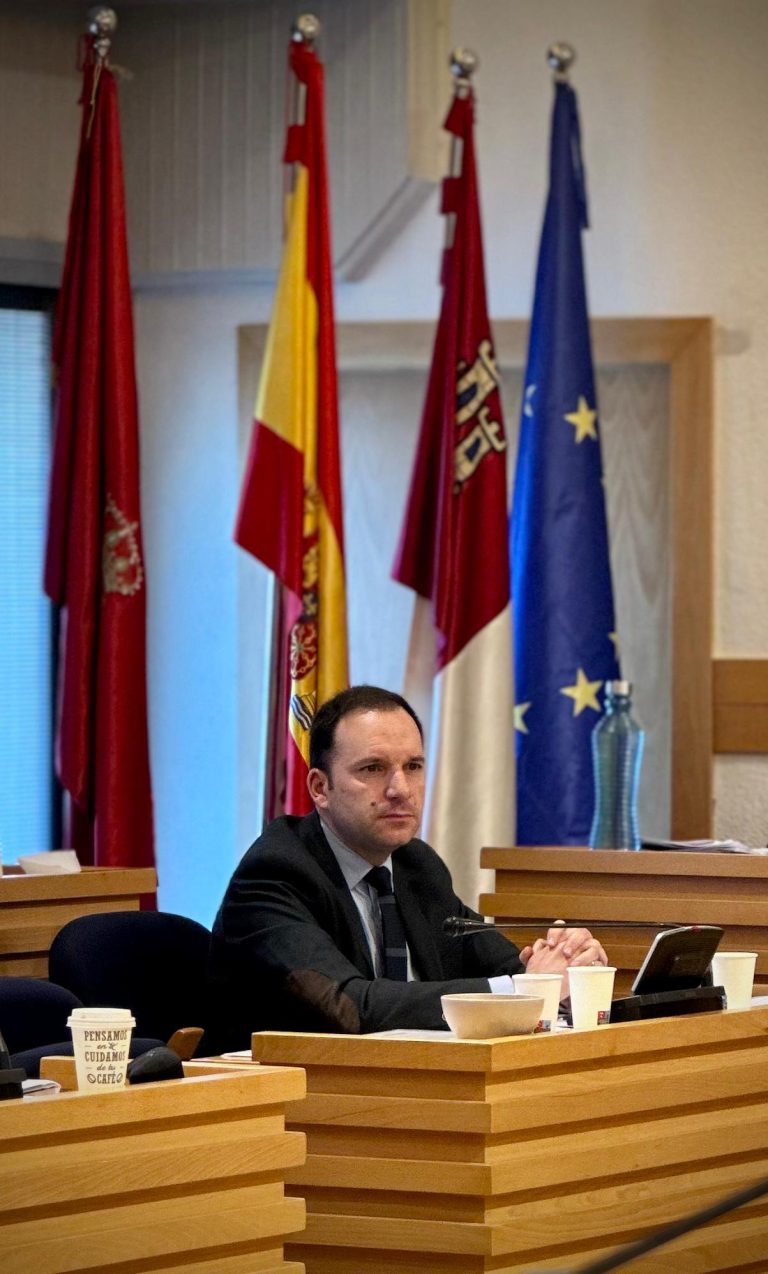 Se aprueba el primer plan de acción del Ayuntamiento de Ciudad Real