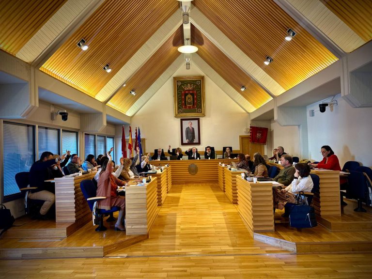 Ciudad Real aprueba el Reglamento Municipal de Voluntariado y el primer plan de acción del Ayuntamiento