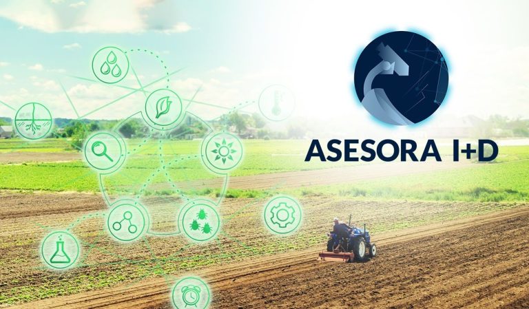 El proyecto ASESORA I+D avanza con la realización de 125 diagnósticos para determinar necesidades de I+D+i en las pymes