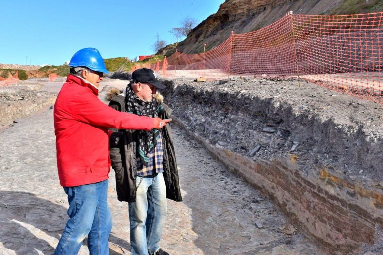 Nuevas excavaciones en el Carbonífero de Puertollano descubren arañas, escorpiones y peces de hace 300 millones de años