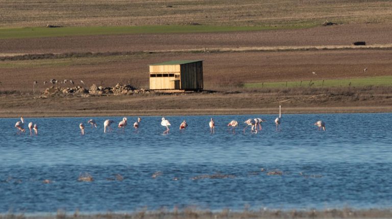 El Gobierno regional organiza actividades gratuitas de concienciación ambiental para conmemorar el Día Mundial de los Humedales