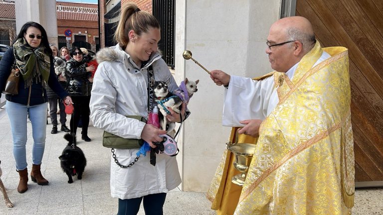 Los peludos de Puertollano (y un ratoncillo) reciben la bendición de San Antón