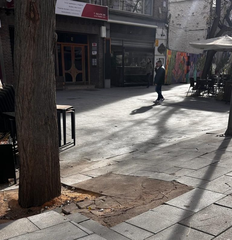 El PSOE alerta sobre el “peligroso” estado de la Plaza Cervantes