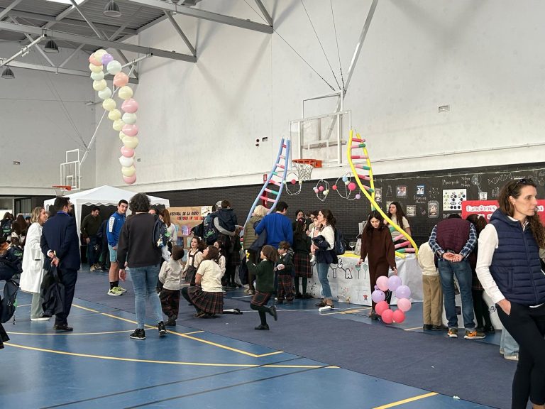 Éxito de la exposición científica del Colegio Santo Tomás de Ciudad Real 
