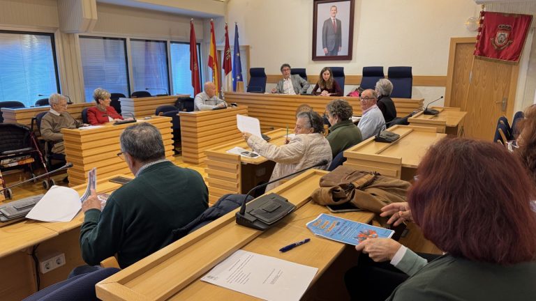 El Foro del Mayor conoce las actividades programadas para carnaval
