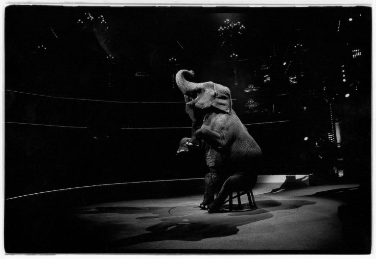 Exposición Sakiro Nomura. Tierna es la noche, en Fundación MAPFRE, Paseo de Recoletos, 23 de Madrid