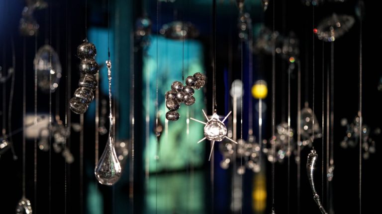 La exposición inmersiva ‘Ecos del Océano’ aúna arte, ciencia y tecnología para reflexionar sobre la relación de los humanos con los ecosistemas marinos