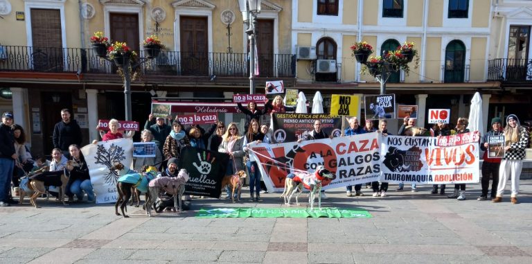 Medio centenar de personas se concentran en Ciudad Real por un futuro «libre de caza y de crueldad»