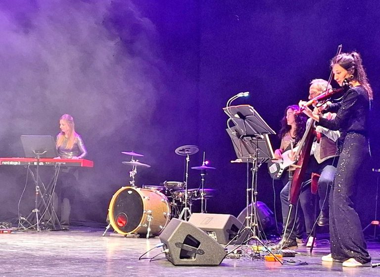 Puertollano: Vibrante concierto de clásicos y pop inglés de la Orquesta de Cámara de Toulouse y la viola de Carlos Vizcaíno