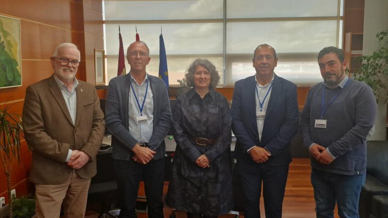 El Gobierno regional destaca que Castilla-La Mancha se ha convertido en un polo de atracción para empresas de componentes solares gracias a su liderazgo renovable