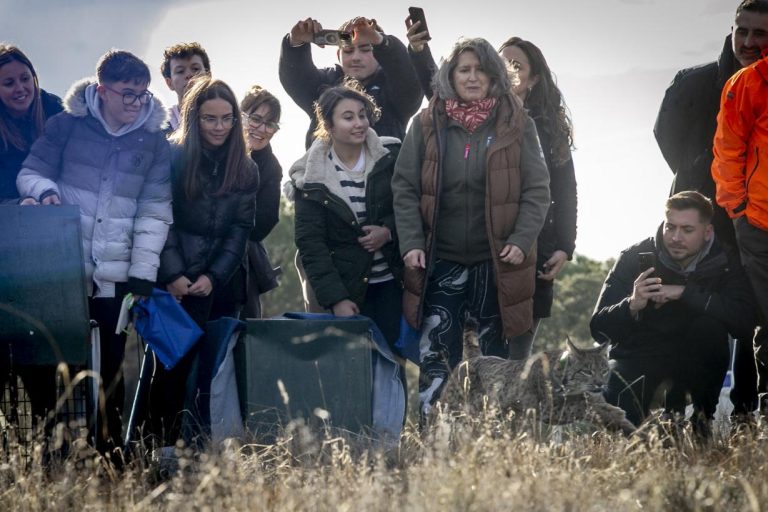 El Gobierno regional organiza actividades gratuitas y familiares el 1 y el 8 de marzo para dar a conocer la vida silvestre y la biodiversidad de Castilla-La Mancha