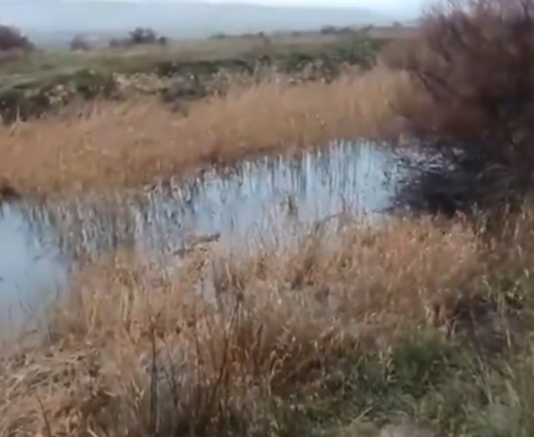 El río Gigüela ya lleva agua a Las Tablas de Daimiel