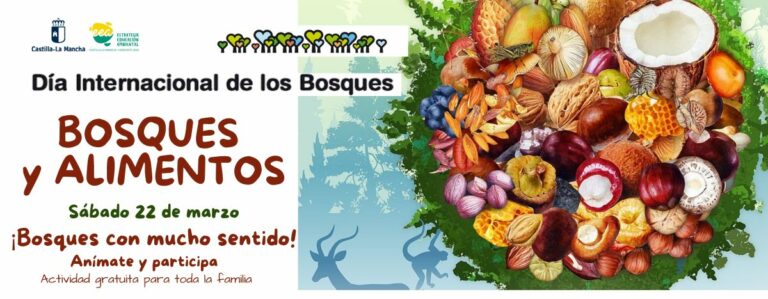 El Gobierno de Castilla-La Mancha celebrará el Día de los Bosques con mucho sentido, una ruta interpretada y la propuesta ‘baños de bosque’
