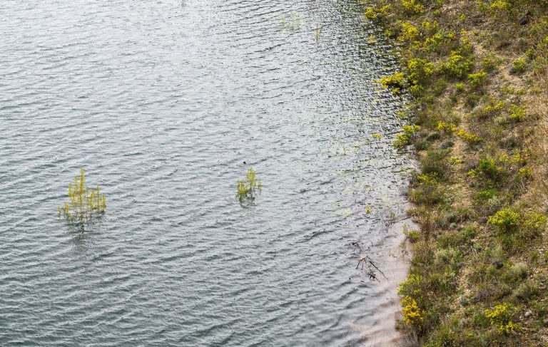 Asaja Ciudad Real lamenta que no se está aprovechando el agua por la «falta de las infraestructuras reclamadas»