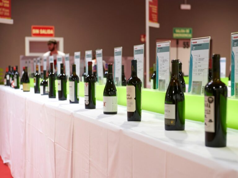 La Galería del Vino de Fenavin 2025 conecta a expositores y compradores en una superficie de 2.200 metros