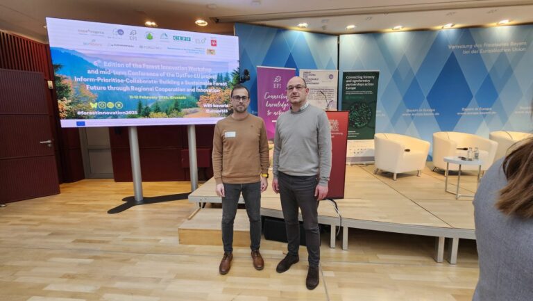 El Gobierno de Castilla-La Mancha comparte experiencias en un foro internacional por la innovación forestal en Bruselas junto a otras regiones y actores claves del sector