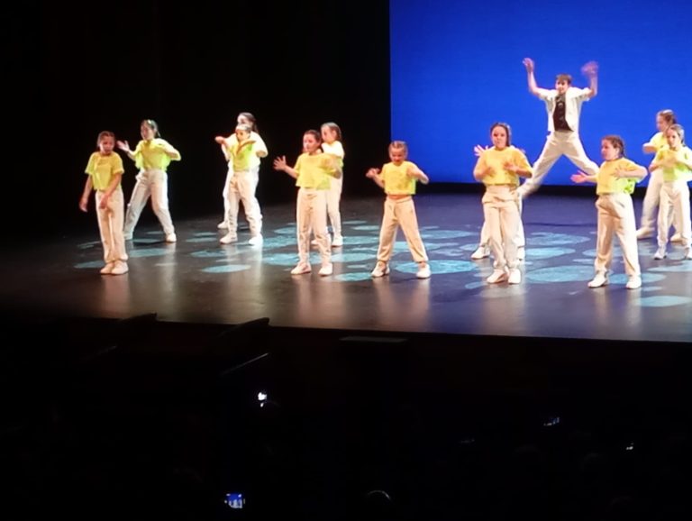 El Teatro Quijano de Ciudad Real acogió la quinta edición del festival de danza solidario El Teatro Quijano de Ciudad Real acogió la quinta edición del festival de danza solidario