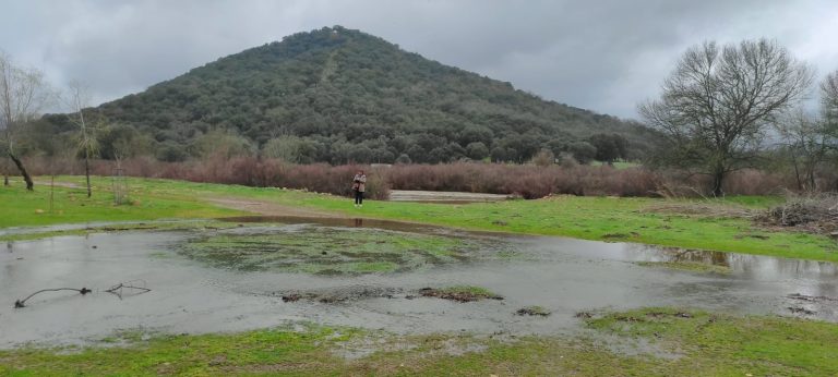 Un impresionante Montoro saca músculo a su paso por Ventillas anunciando una gran noticia para Puertollano Un impresionante Montoro saca músculo a su paso por Ventillas anunciando una gran noticia para Puertollano
