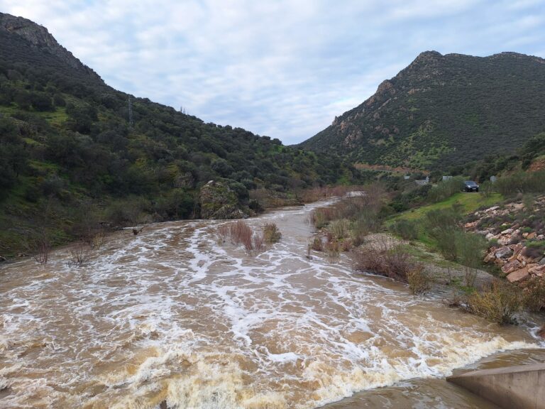El gran humedal fluvial y montaraz de Riofrío
