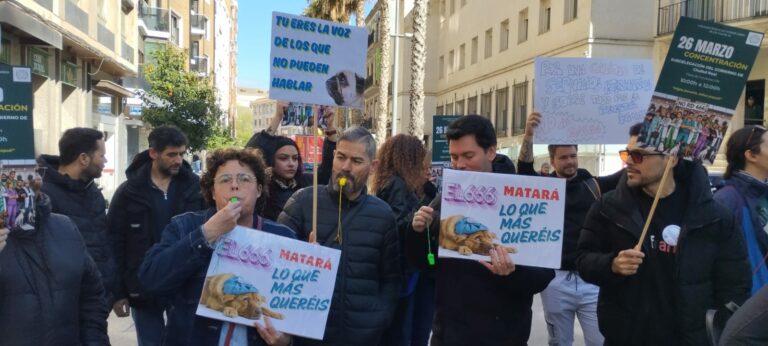 Veterinarios, protectoras y dueños protestan en Ciudad Real contra el Real Decreto que regula la dispensación de medicamentos a animales