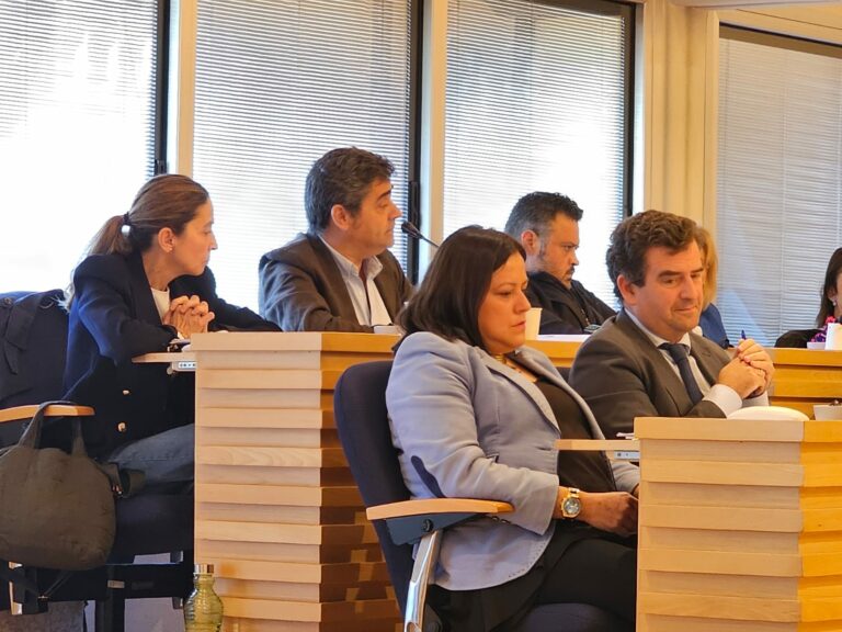 Ciudad Real: VOX celebra la «derrota» de la moción del PSOE sobre la Unidad ATENEA y denuncia su «manipulación ideológica»