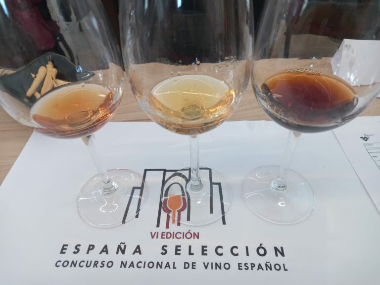 Comienza la VII edición de España Selección, un certamen que celebra la excelencia del vino español