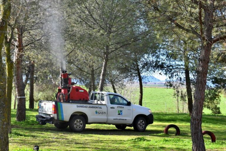 Desciende la presencia de bolsas de orugas en Puertollano con el plan de fumigación Desciende la presencia de bolsas de orugas en Puertollano con el plan de fumigación