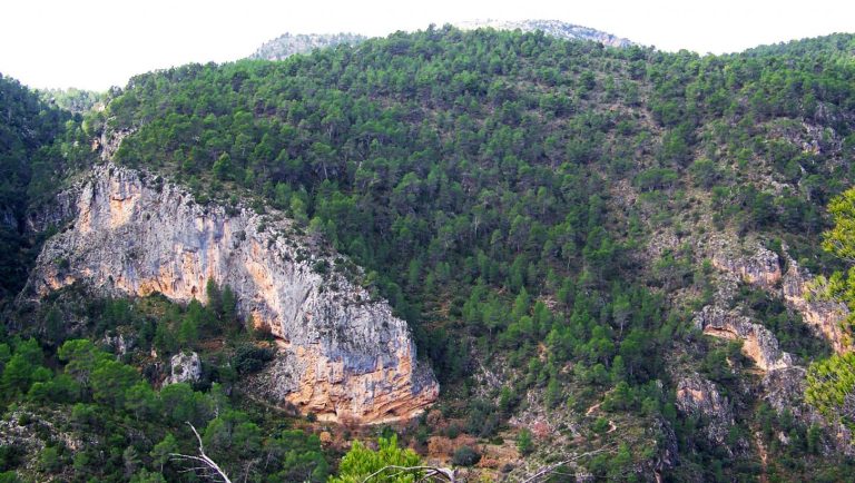 El Gobierno regional celebra el Día Internacional de los Bosques con actividades gratuitas y de sensibilización ambiental en los espacios naturales
