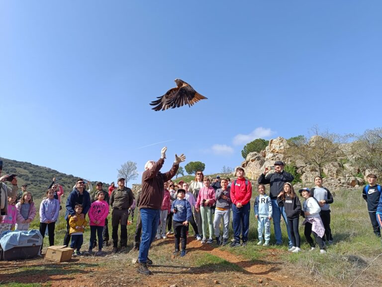 El Gobierno de Castilla-La Mancha devuelve a su medio natural a cuatro aves recuperadas en el Centro ‘El Chaparillo’ de Ciudad Real 