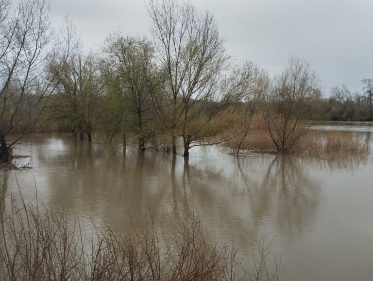 C-LM desactiva el Plan Especial ante el Riesgo de Inundaciones en toda la región