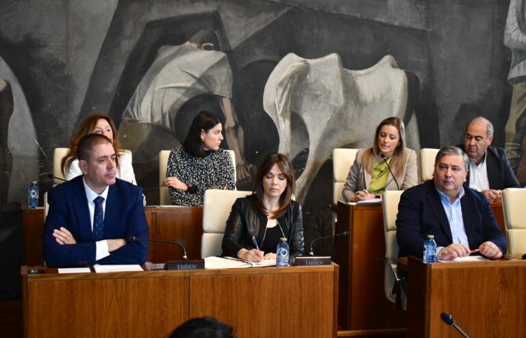 El Grupo Socialista en la Diputación exige a Valverde que quite las competencias de Lanza a Vox