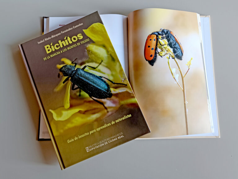 Isabel Nieto-Márquez presenta “Bichitos: de La Mancha a los Montes de Toledo”, publicado por la BAM