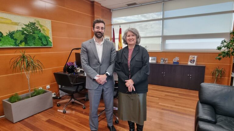 El Gobierno de Castilla-La Mancha se reúne con el MITERD para analizar las necesidades de suministro eléctrico en la nueva planificación de la Red de transporte de Energía