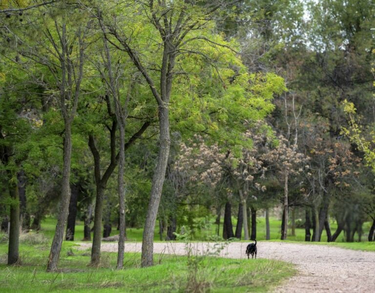 Hallan el cuerpo sin vida de Ana María en las inmediaciones del parque Pozo Norte de Puertollano