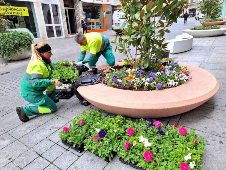 16.000 flores primaverales alegran el centro de Puertollano
