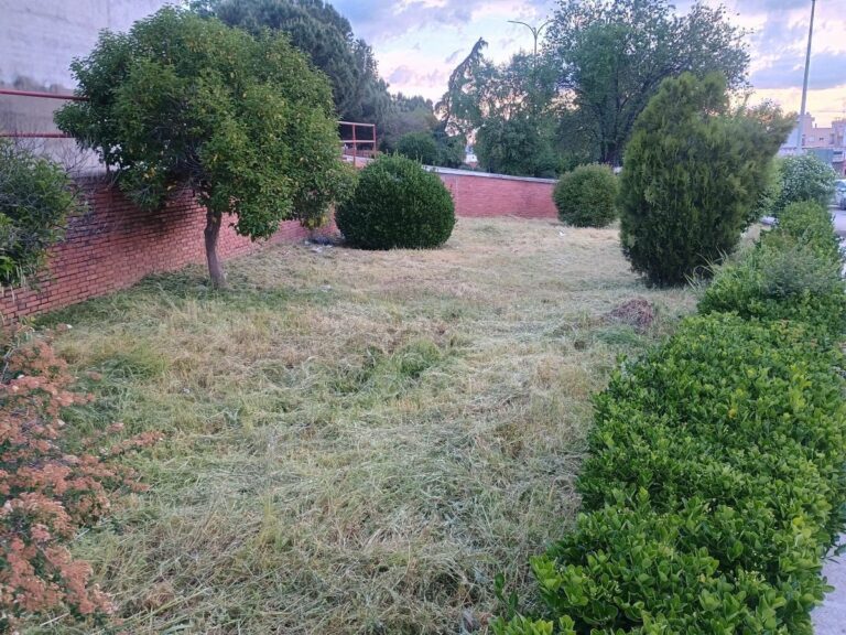 Puertollano: El PP recuerda que el equipo de Gobierno ha «triplicado» los esfuerzos para atender el desbroce en todas las barriadas