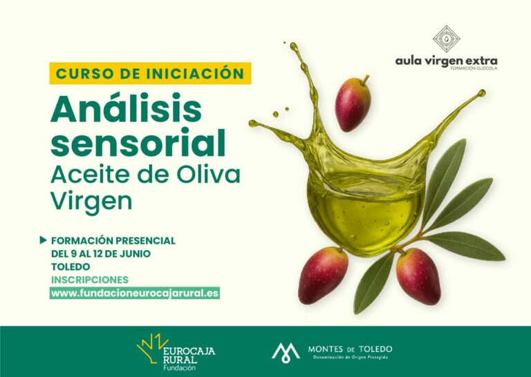 Aula Virgen Extra lanza una nueva edición del curso de iniciación al Análisis Sensorial de Aceite de Oliva Virgen