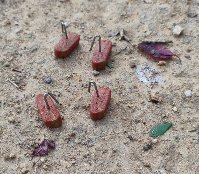 Ciudad Real: Alertan de la presencia de comida con grapas de gran tamaño en el entorno del Parque de los Planetas