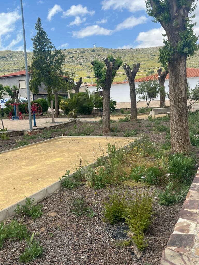 El PSOE de Moral de Calatrava solicita la limpieza de los parques infantiles de la localidad