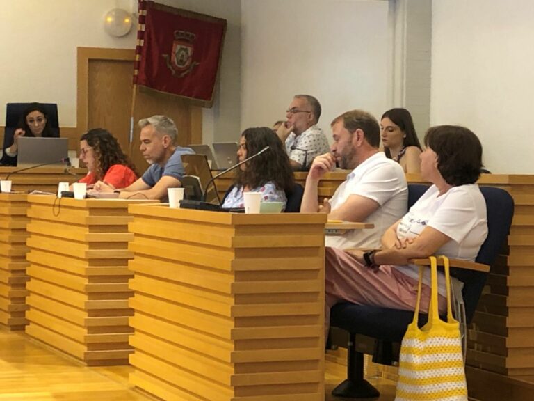 PSOE: «Cañizares muestra en el pleno municipal su lado autoritario»