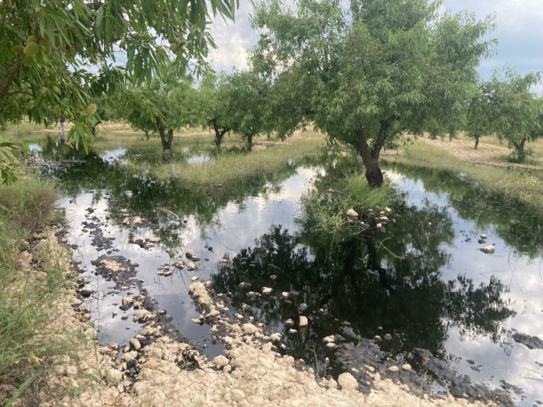 El oleoducto entre Puertollano y Cartagena, parado tras una fuga en Murcia