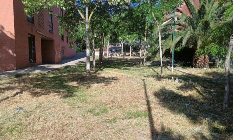 Los trabajos de desbroce avanzan «a buen ritmo» en Puertollano Los trabajos de desbroce avanzan «a buen ritmo» en Puertollano