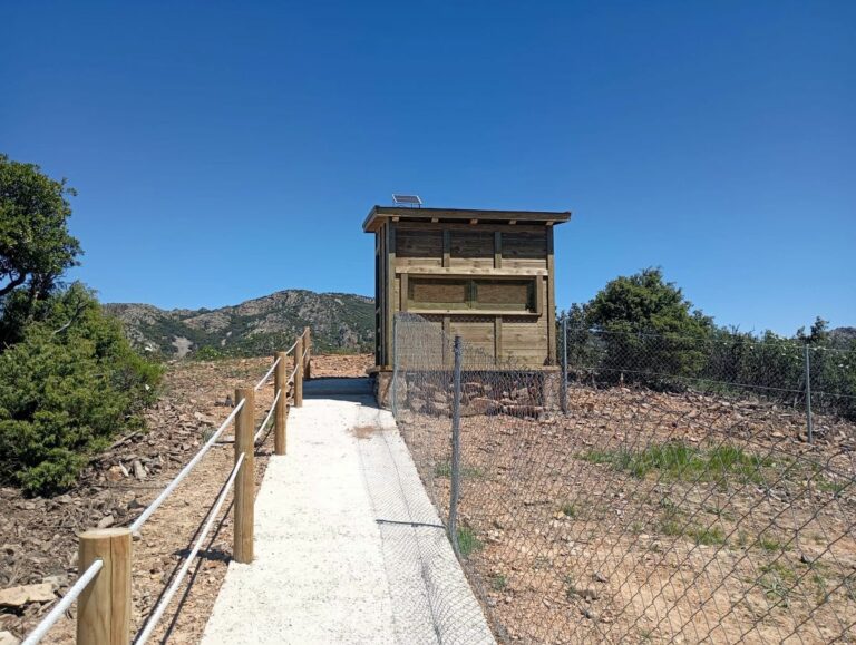 El Gobierno de Castilla-La Mancha concluye la ejecución de dos observatorios de necrófagas en el parque natural del Valle de Alcudia y Sierra Madrona