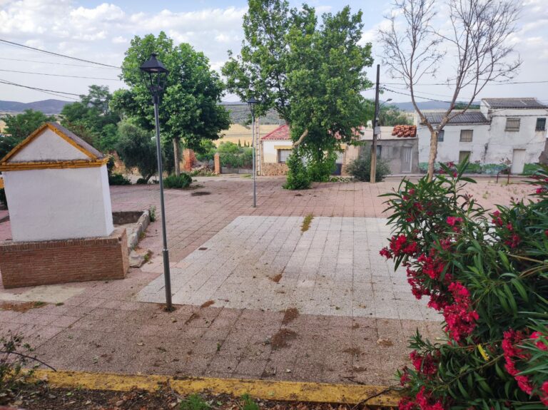 Es una pena la dejadez que existe en Veredas