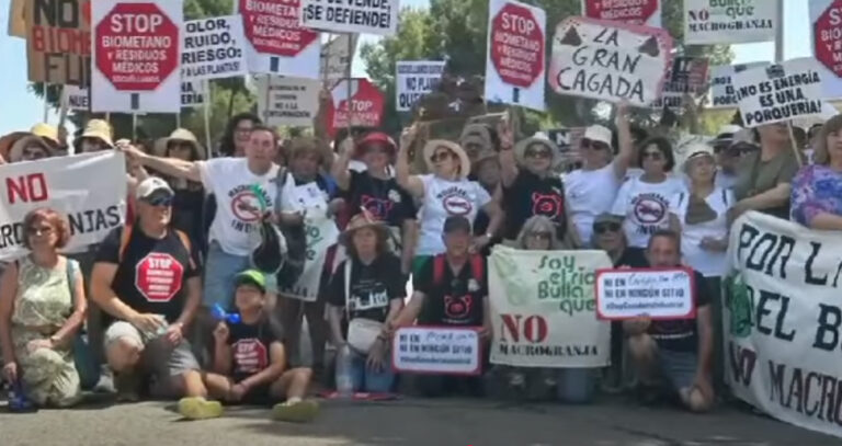 Diferentes colectivos reclaman el final de un modelo de desarrollo «insostenible» el Día de Castilla-La Mancha
