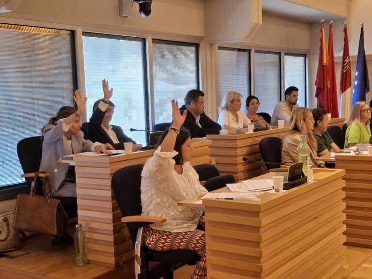 VOX denuncia el «pacto del bipartidismo para blindar privilegios políticos mientras se abandona a las familias de Castilla-La Mancha»