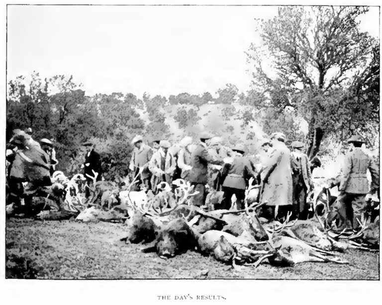 Abel Chapman en Fuencaliente y la España inexplorada