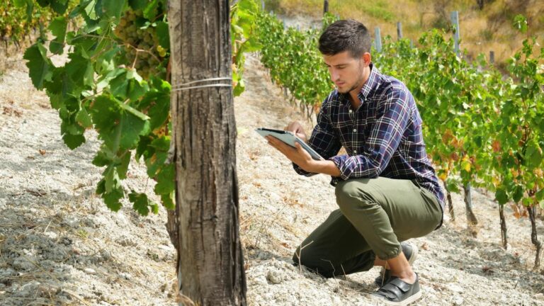 Globalcaja ofrece a sus clientes la elaboración del cuaderno de campo digital y el registro de explotación electrónico GlobalCampo