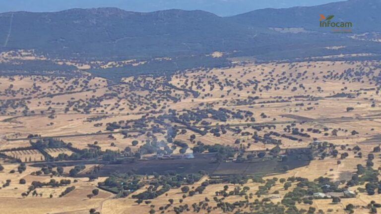 Extinguidos dos incendios declarados este sábado en Retamar y Viñuela
