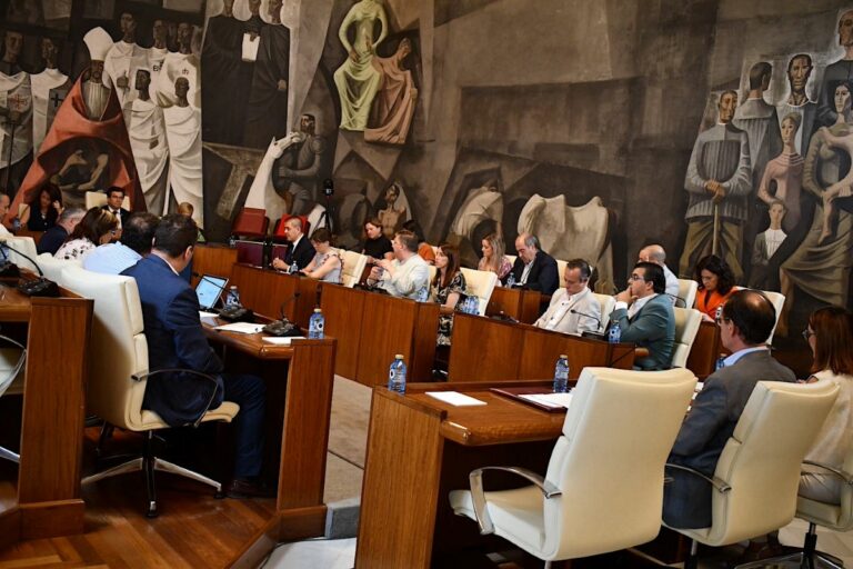 Bolaños: “Ciudad Real ha dejado de ser, con PP y Vox al frente de la Diputación, el motor de desarrollo provincial que era”
